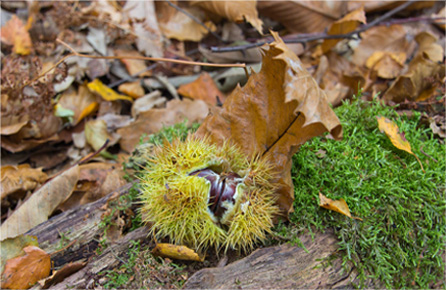 ddos攻击ip软件下载