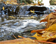 ddos在线压力测试平台